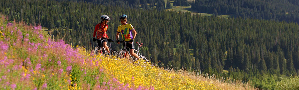 mountain bikers
