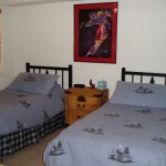 Quail Run 806 - 2nd Bedroom, 2 twins