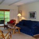 Rockies Condominiums - Living room with pull out sofa sleeper