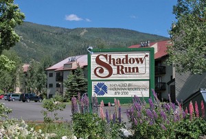 Shadow Run