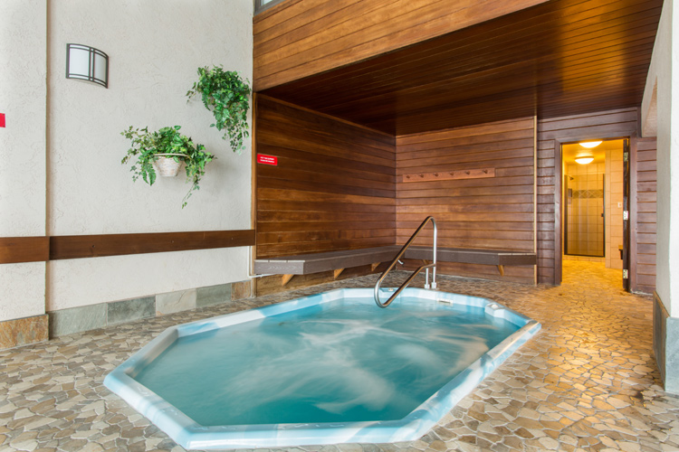 Bronze Tree - Indoor Hot Tub