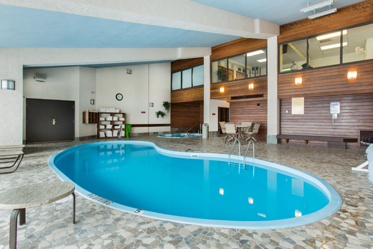 Bronze Tree - Indoor Heated Pool
